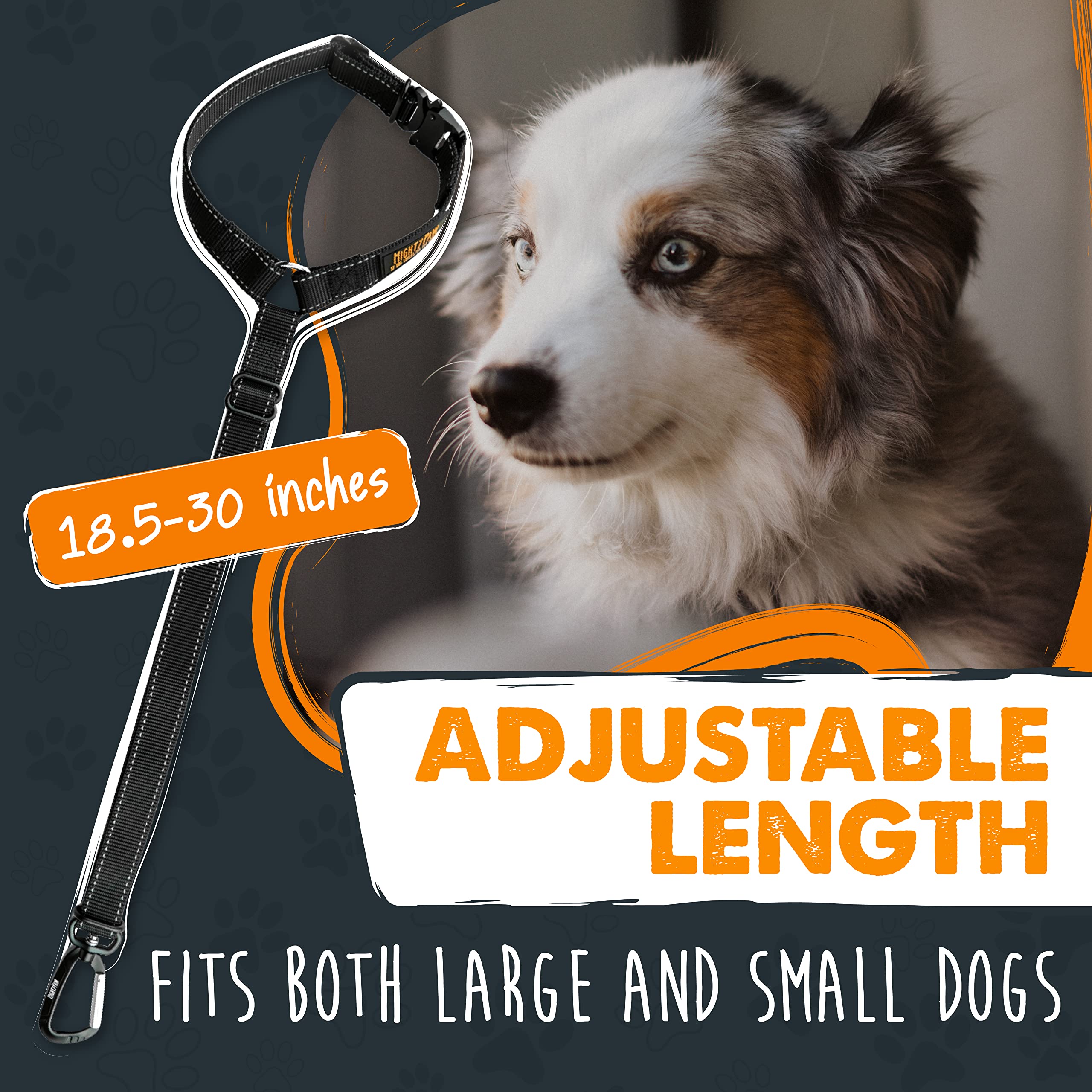 Mighty Paw aviation-grade aluminum carabiner offers strong, durable security for dogs