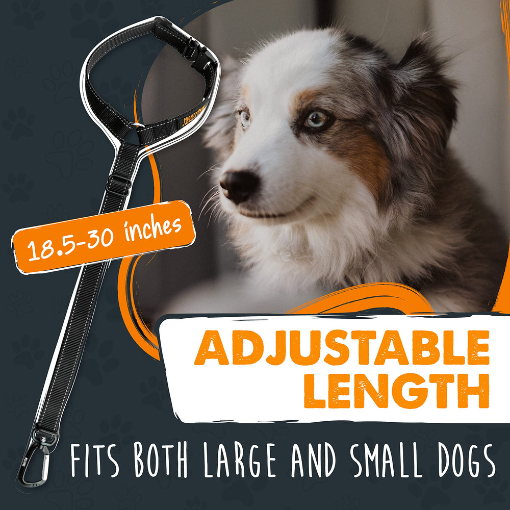 Mighty Paw aviation-grade aluminum carabiner offers strong, durable security for dogs