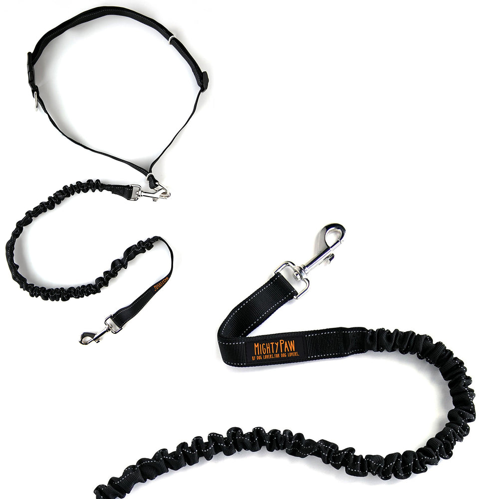 Mighty Paw black waist belt fits large to small breeds.