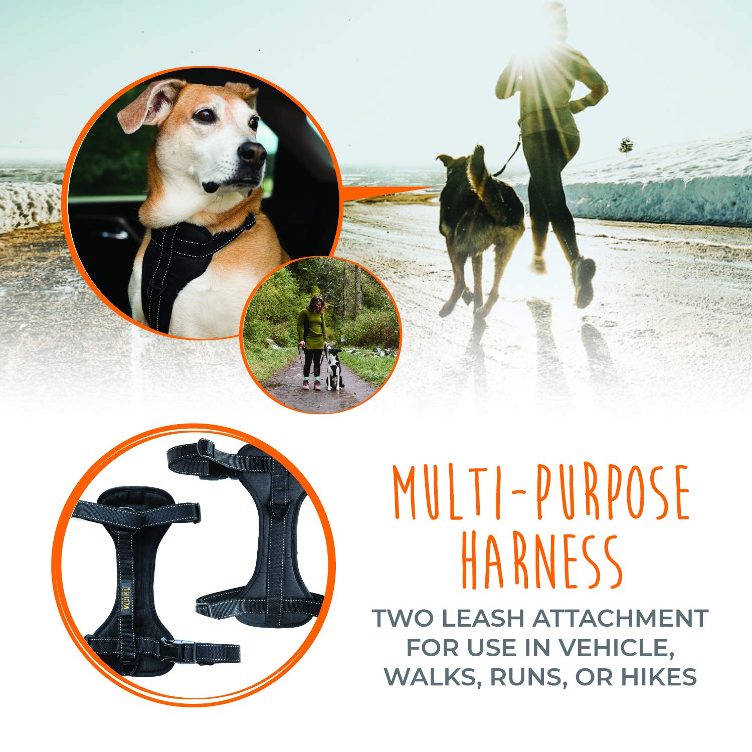Mighty Paw breathable material helps dogs stay cool in travel and adventures