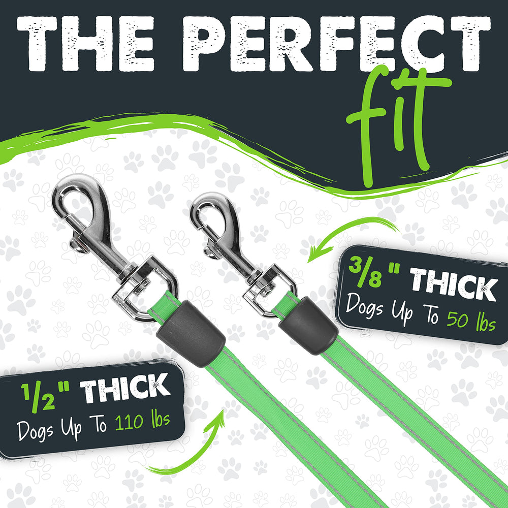 Mighty Paw built-in poop bag holder keeps cleanup ready.