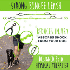 Mighty Paw 3-foot bungee leash supports smooth, controlled walking