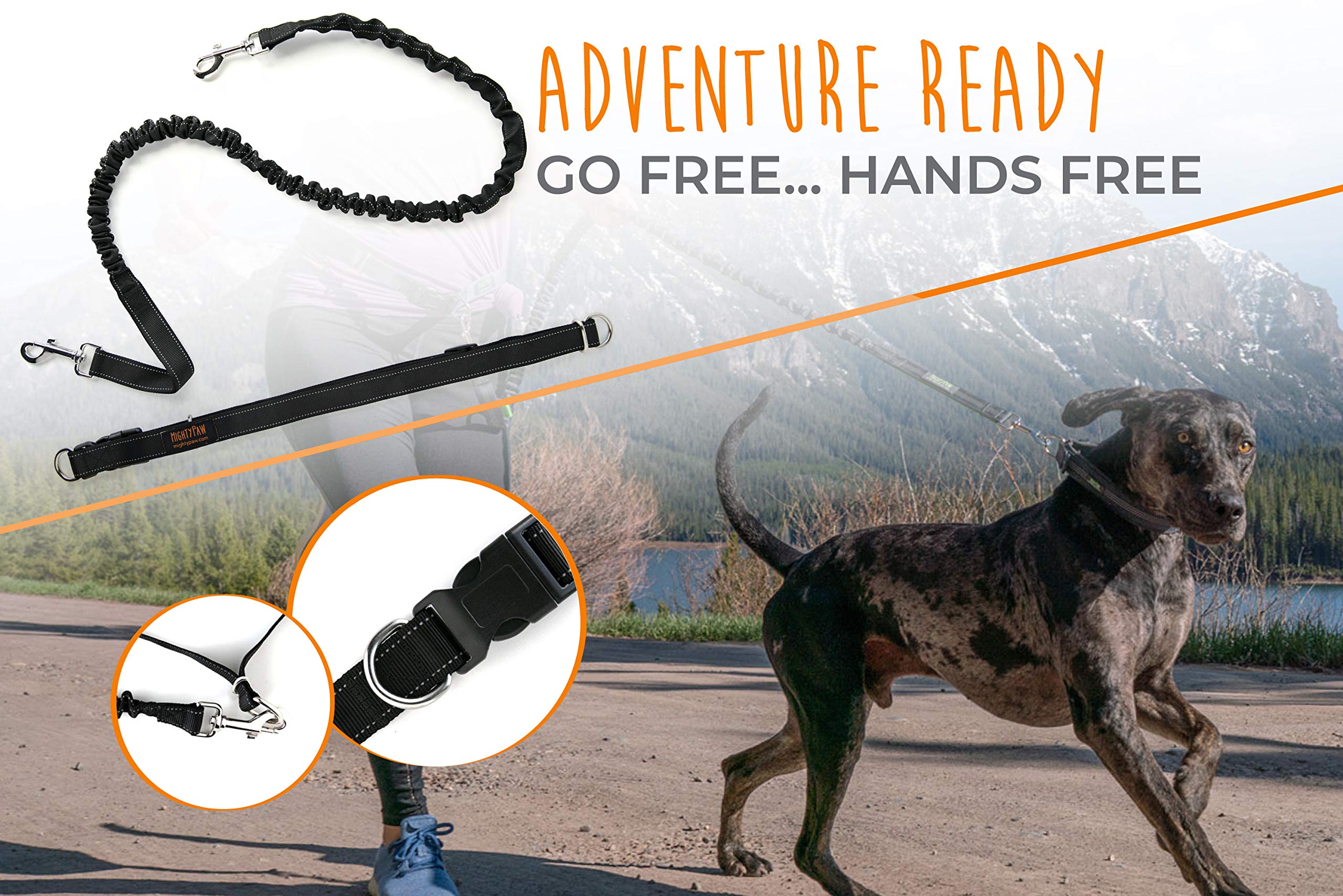 Mighty Paw bungee leash 3 ft length offers controlled flexibility.