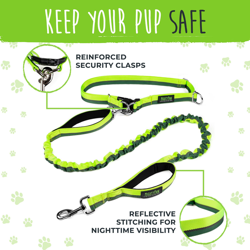 Mighty Paw 4-foot bungee leash for larger dogs' comfortable distance
