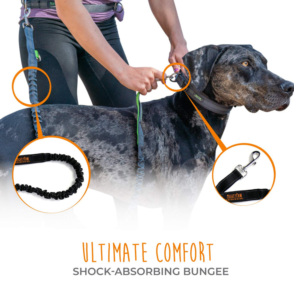 Mighty Paw bungee leash 4 ft length for longer walks.