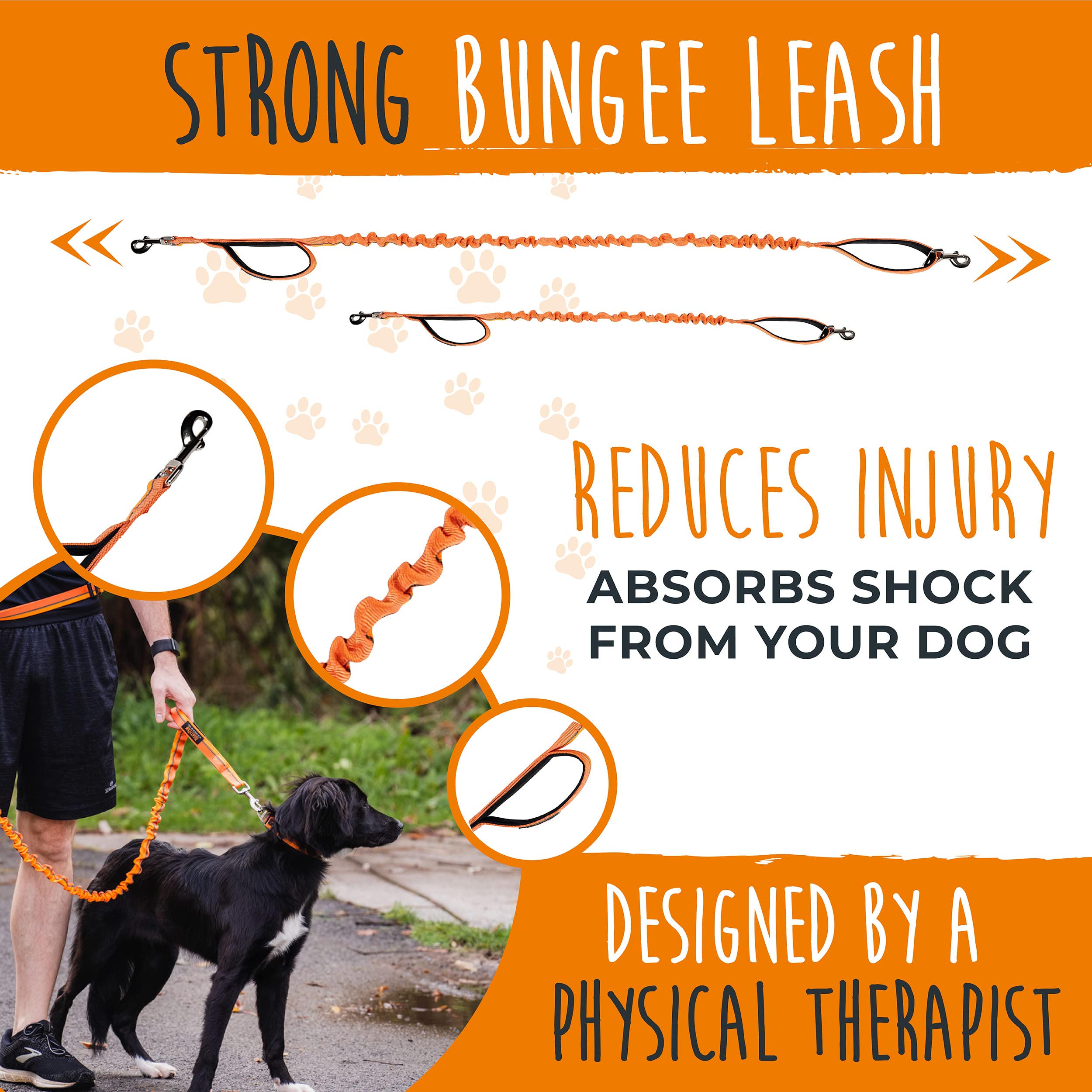 Mighty Paw waist belt with bungee attachment ready for runs.