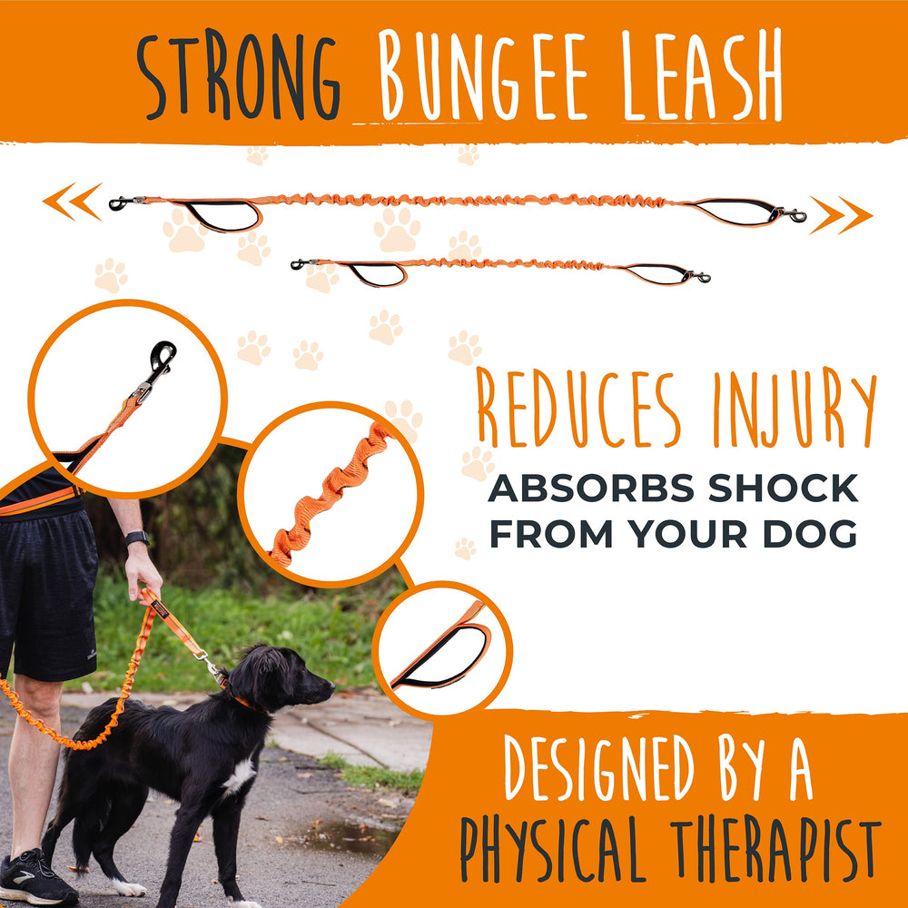 Mighty Paw waist belt with bungee attachment ready for runs.