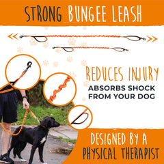 Mighty Paw waist belt with bungee attachment ready for runs.