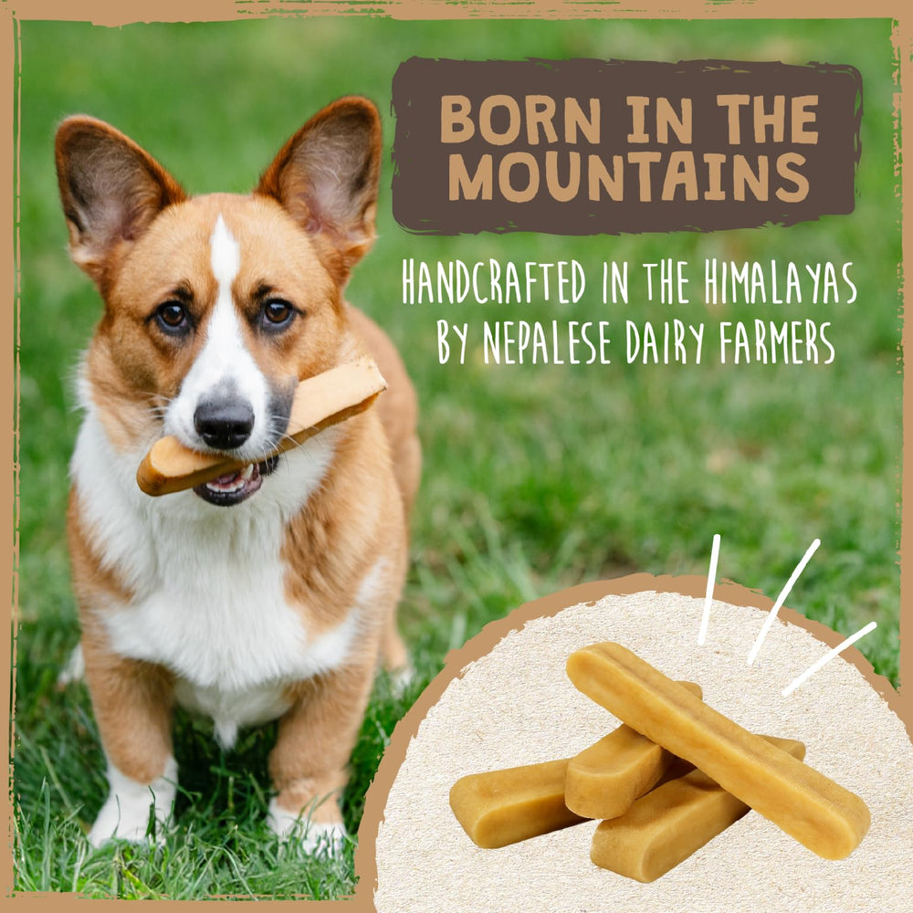 Mighty Paw Cheese Sticks with protein and calcium benefits