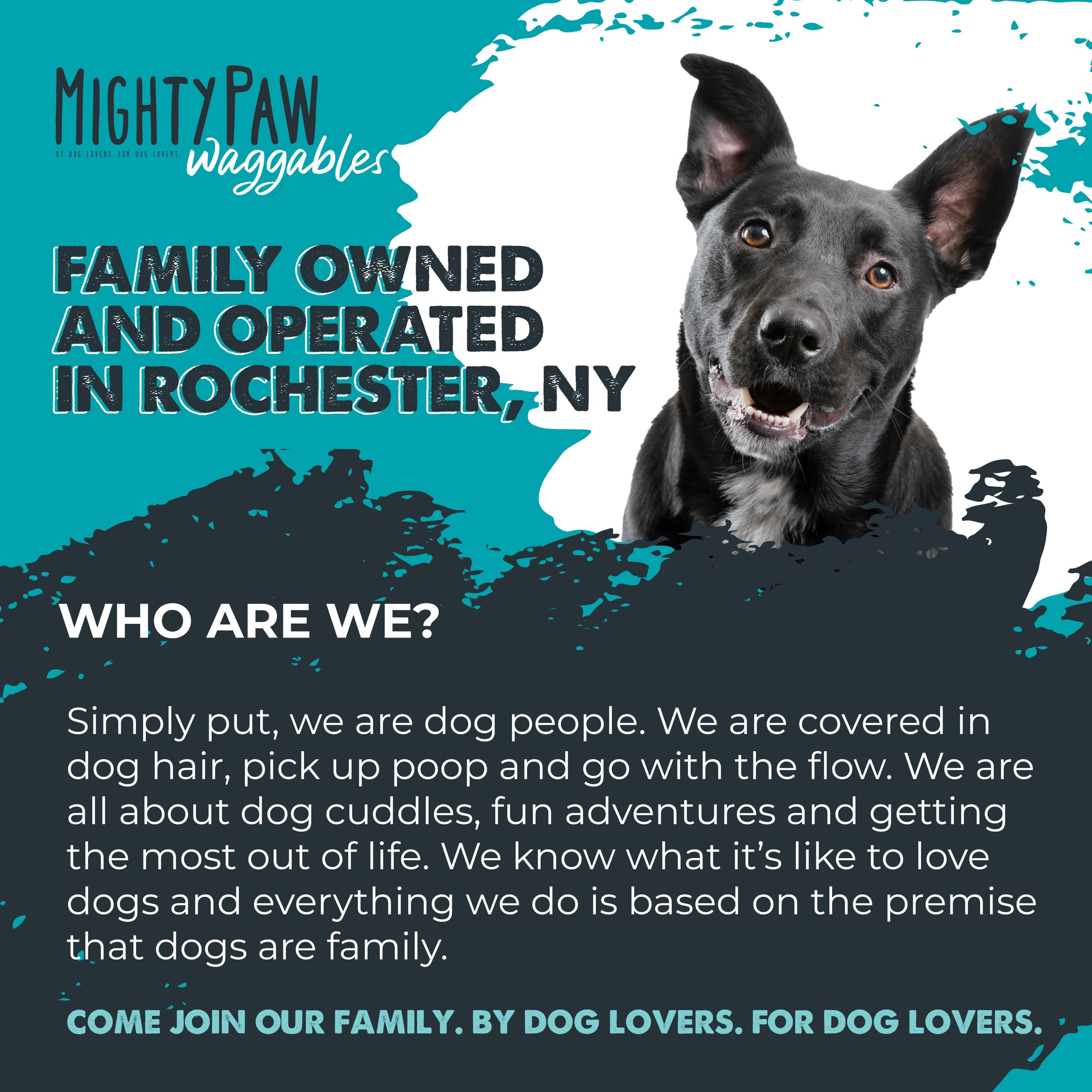 Mighty Paw Cran-Bladder ingredients-bowl featuring cranberry and echinacea