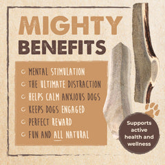 Mighty Paw elk antler supports dental health as dogs chew.