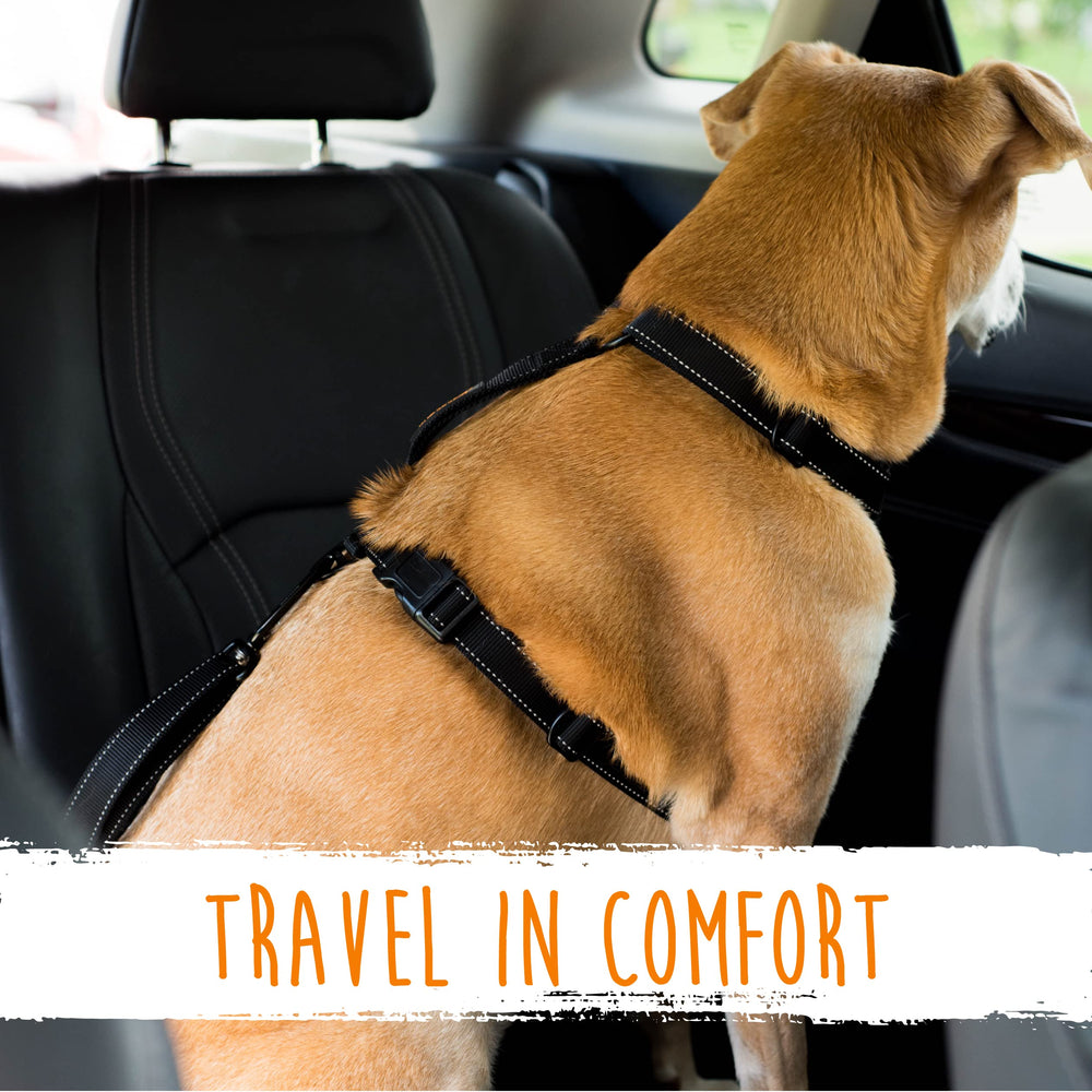 Mighty Paw distraction-free driving helps you keep focus on the road.