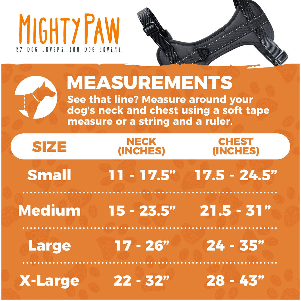 Mighty Paw car harness rear attachment for versatile back-clip option during walks