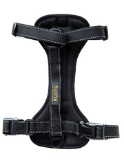 Mighty Paw dog car harness front attachment for secure front leash control on car trips