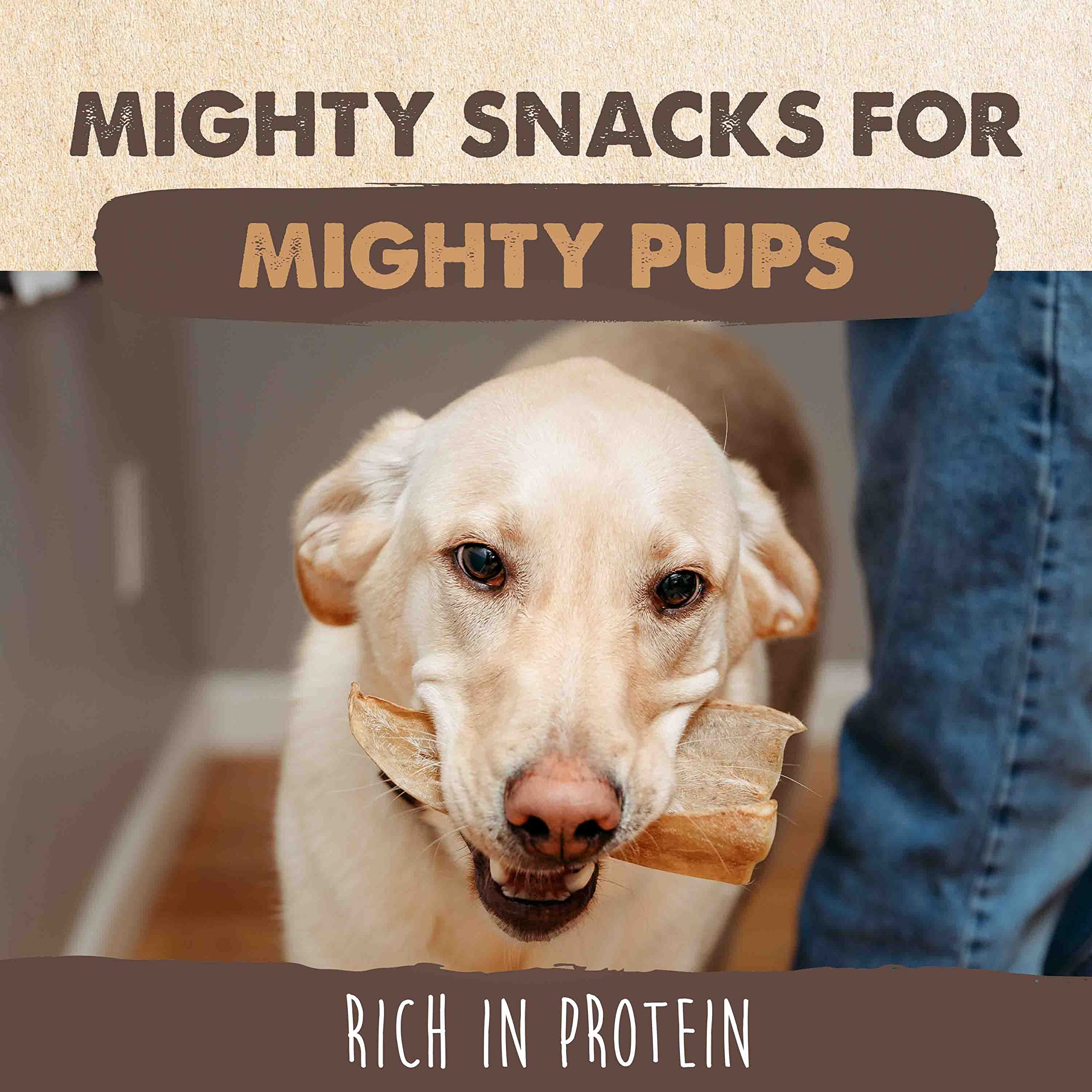 Mighty Paw dog chews, textured ears for interactive play and reward.