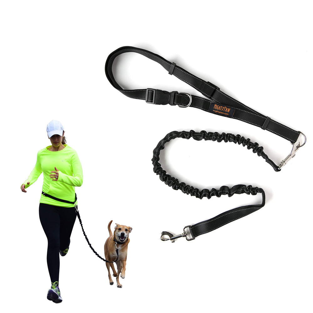 Mighty Paw works for large, medium and small breeds on daily adventures.