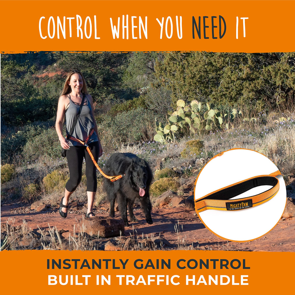 Mighty Paw hands-free leash in park setting supporting comfortable control.
