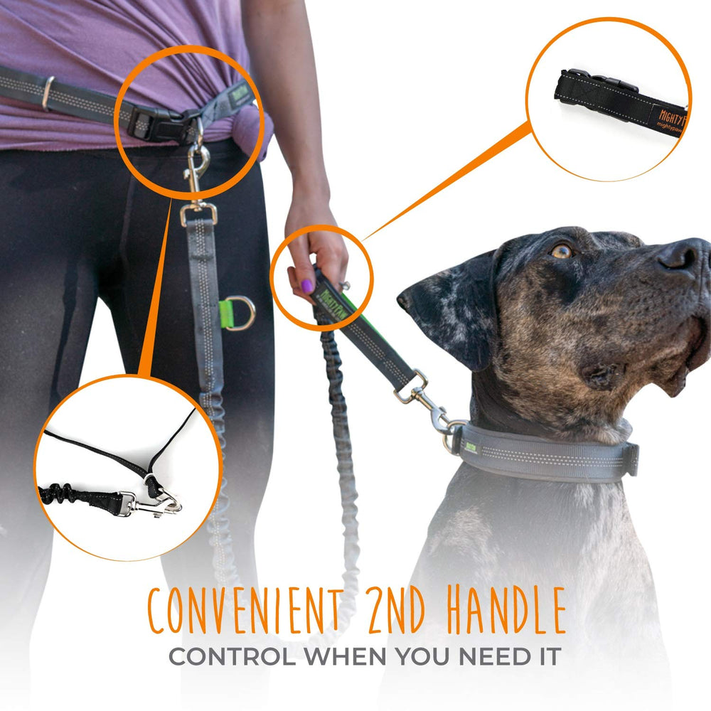 Mighty Paw durable leash materials designed for daily use.