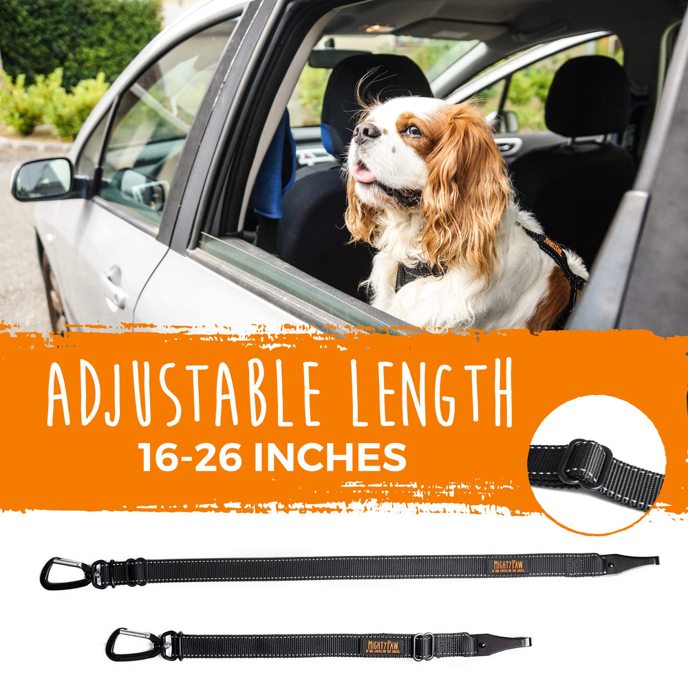 Mighty Paw emergency-release carabiner gives quick exit in emergencies.