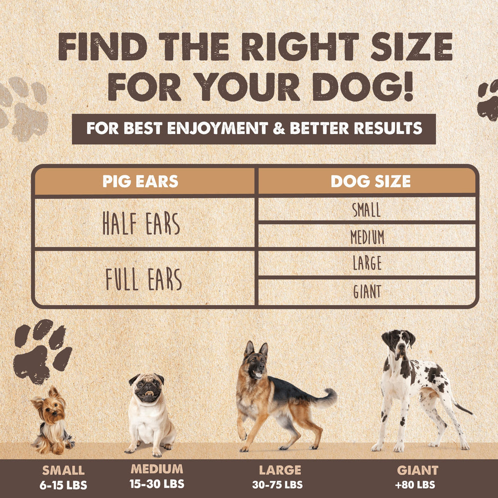 Mighty Paw pig ears are grain-free and gluten-free chews with no additives.