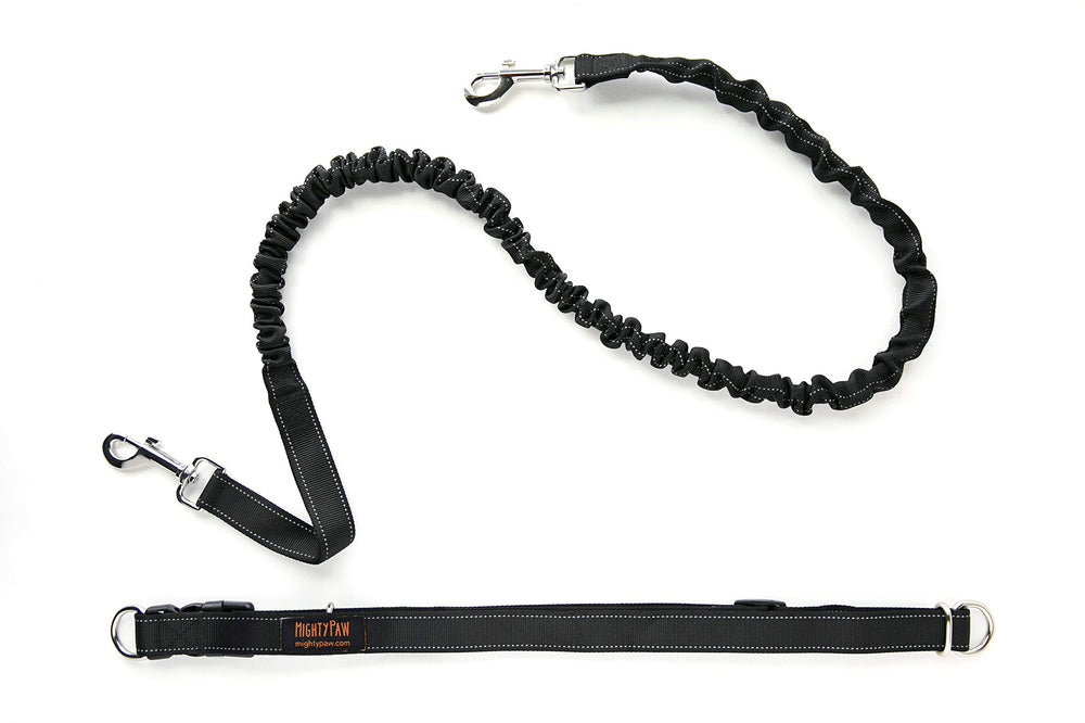 Mighty Paw Hands Free Dog Leash setup showcasing hands-free walking convenience.