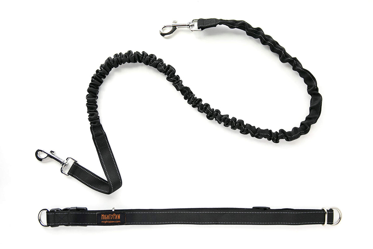 Mighty Paw Hands Free Dog Leash setup showcasing hands-free walking convenience.