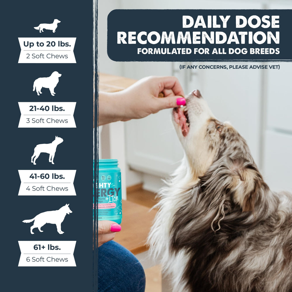 Mighty Paw immune-support formula may support long-term immune health.