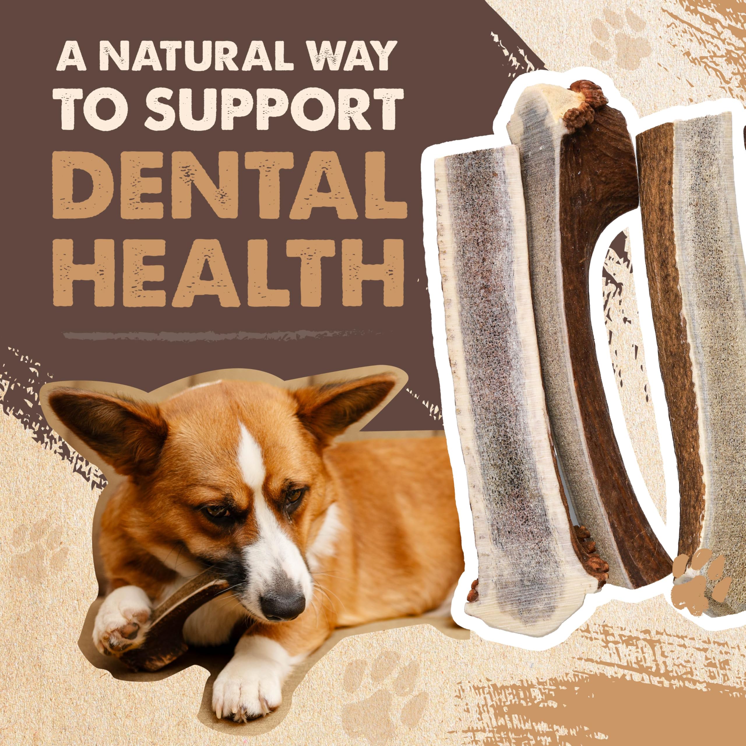 Mighty Paw long-lasting chew helps keep aggressive chewers occupied.