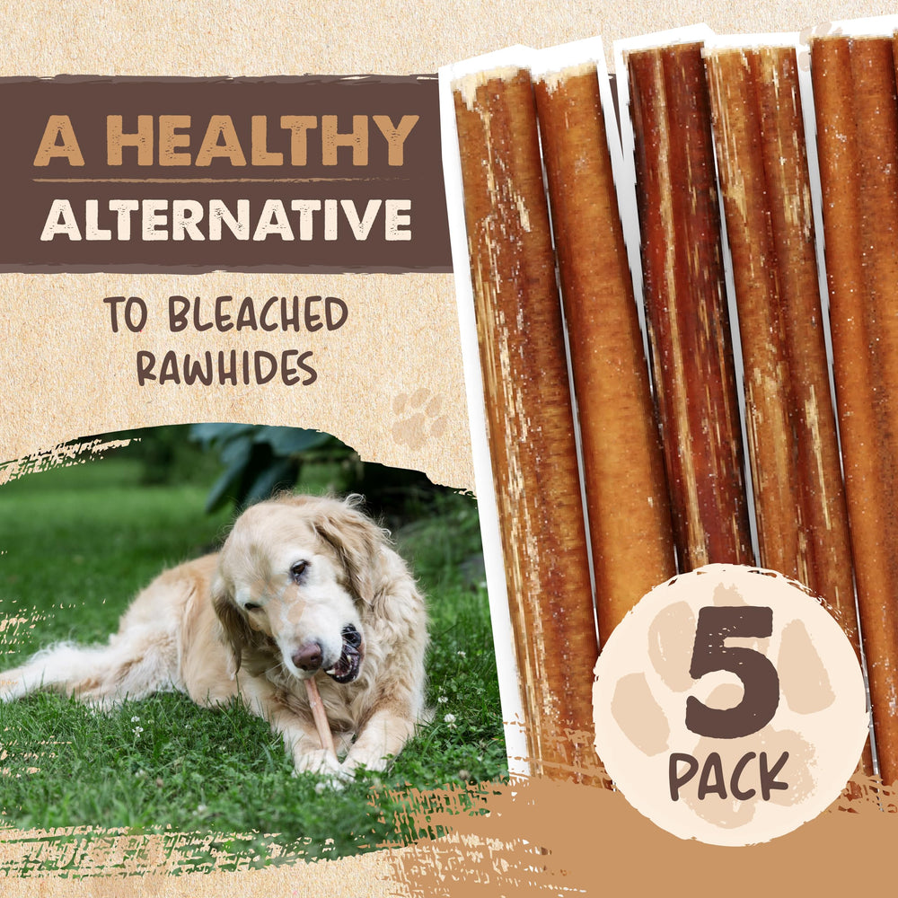Mighty Paw Naturals ideal for power chewers redirecting from furniture