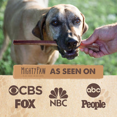 Mighty Paw Naturals grass-fed beef close-up showing natural flavor and protein-rich chew