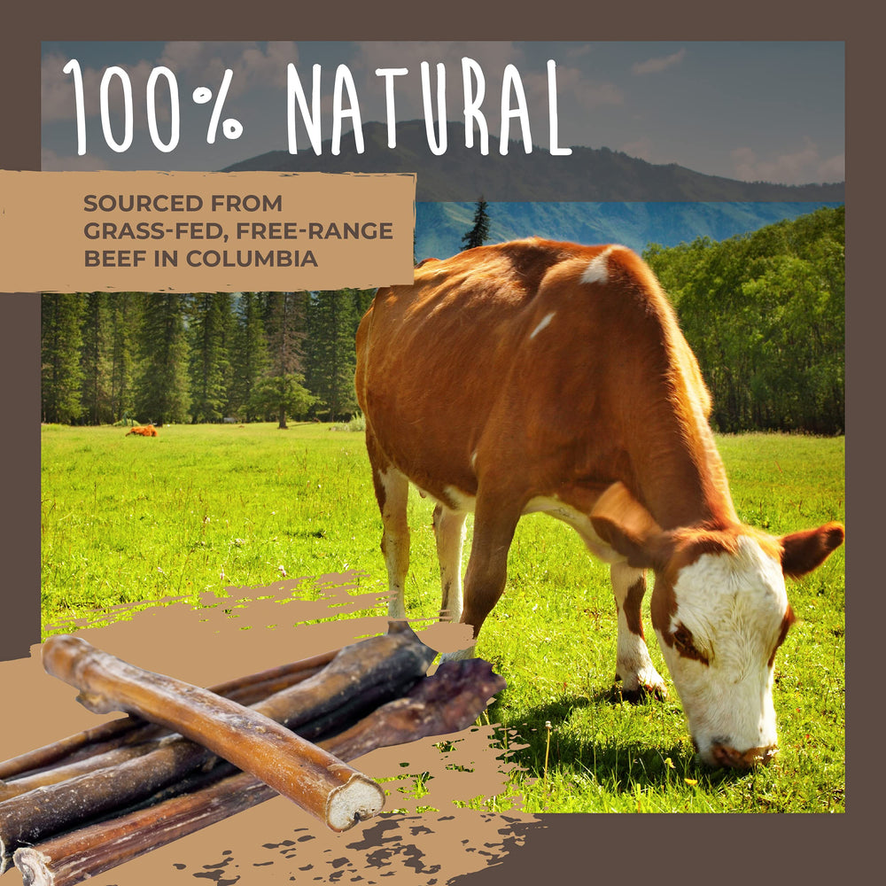Mighty Paw Naturals bully sticks for large dogs; sturdy chew that stays engaging.
