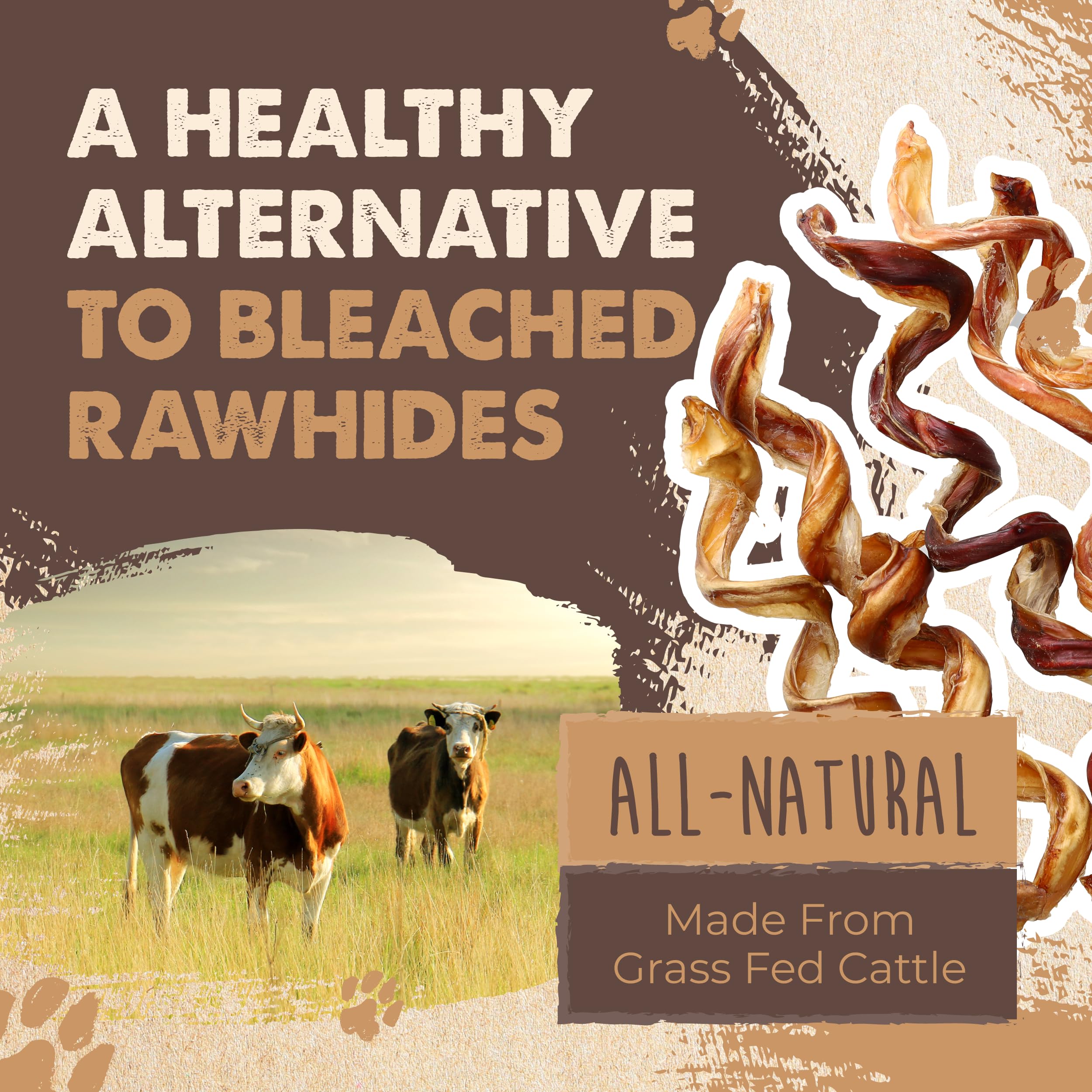 Mighty Paw Naturals 5-pack offers shared or repeated use.