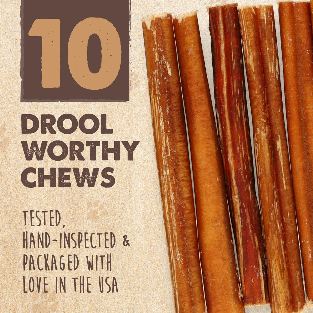 Dental health and enrichment potential shown by Mighty Paw Naturals chews.