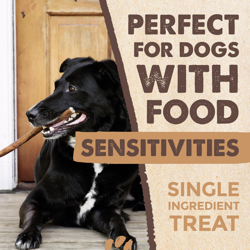 Mighty Paw Naturals gluten-free beef chews suitable for sensitive dogs.