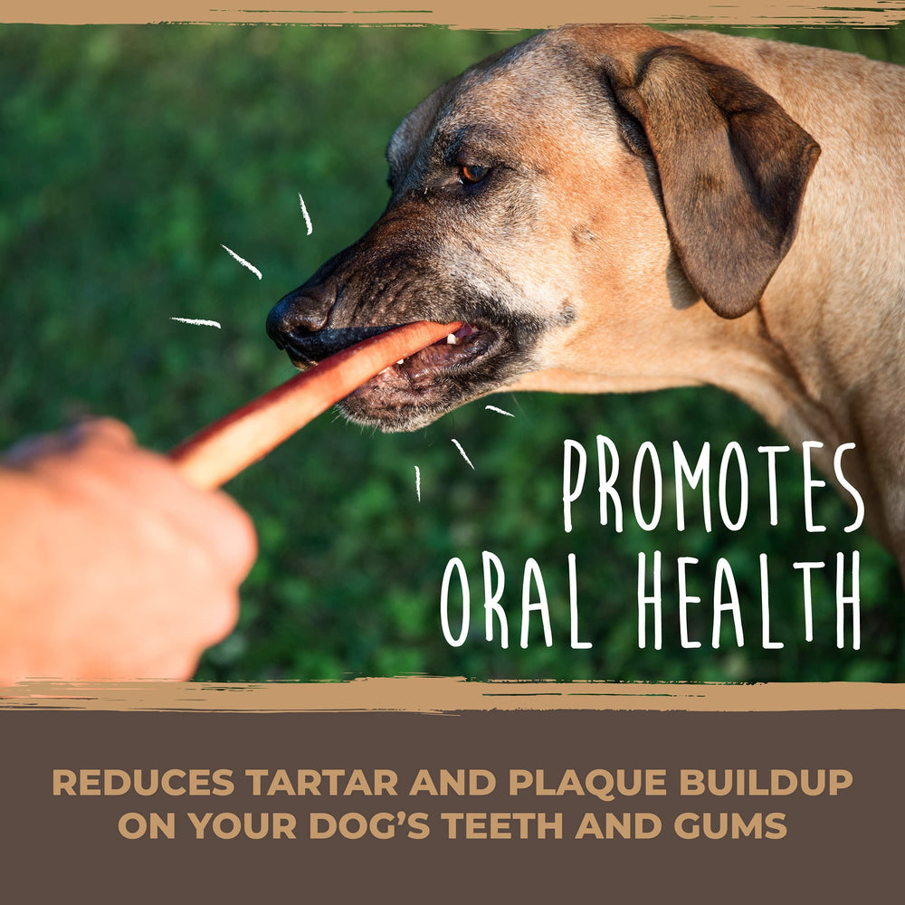Mighty Paw Naturals single-ingredient beef chews for clean snacking.