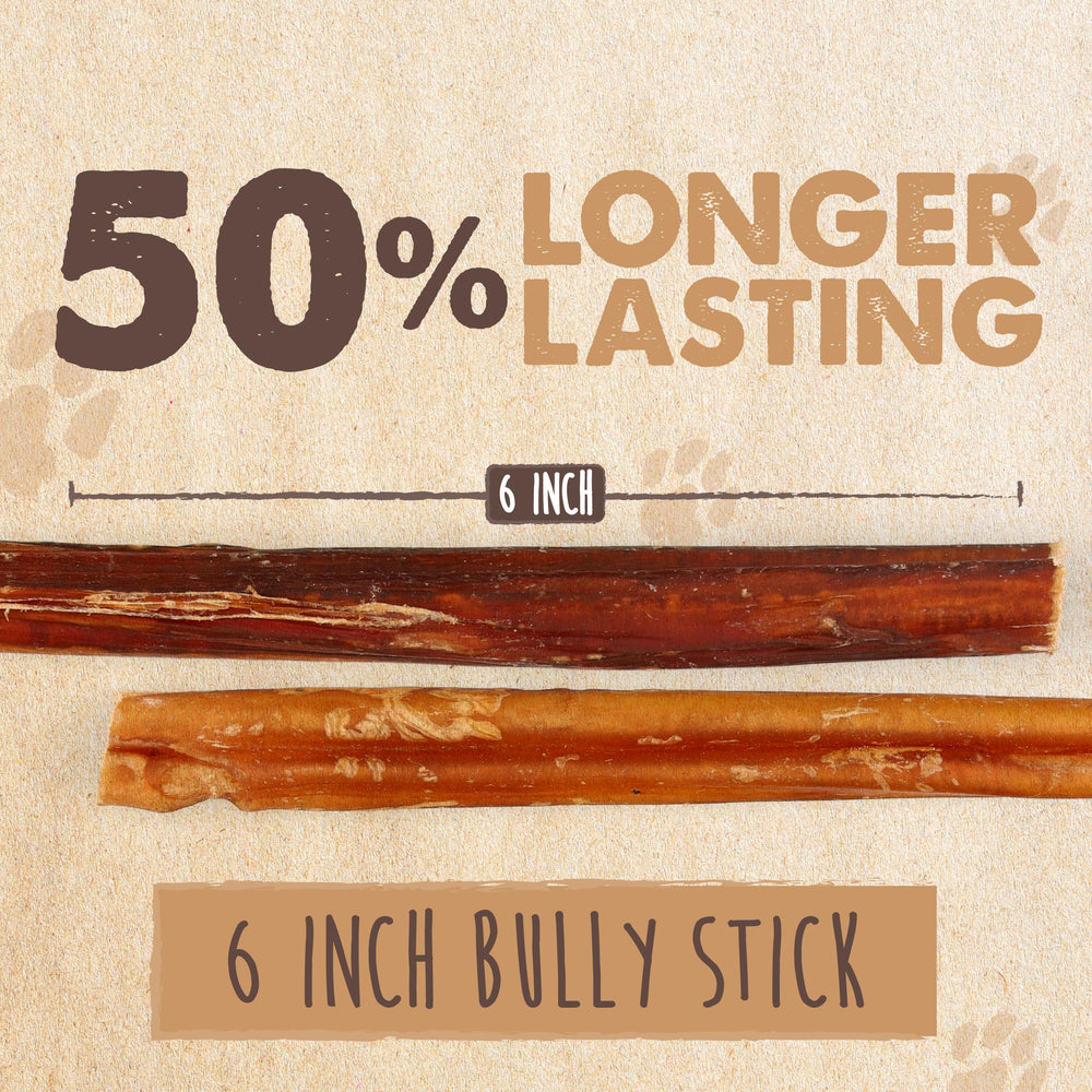 Single-ingredient beef pizzle Mighty Paw Naturals chew with no fillers.