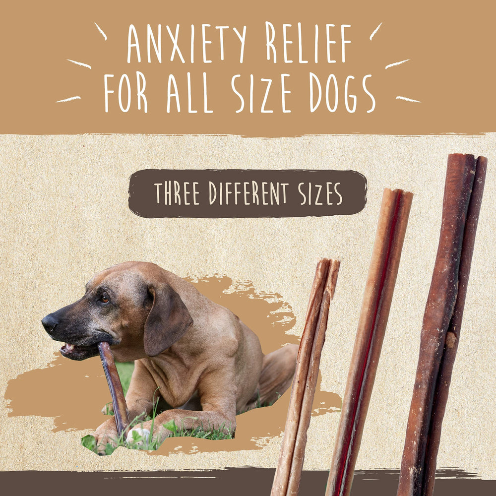 Mighty Paw Naturals versatile chews support dogs during training and downtime.