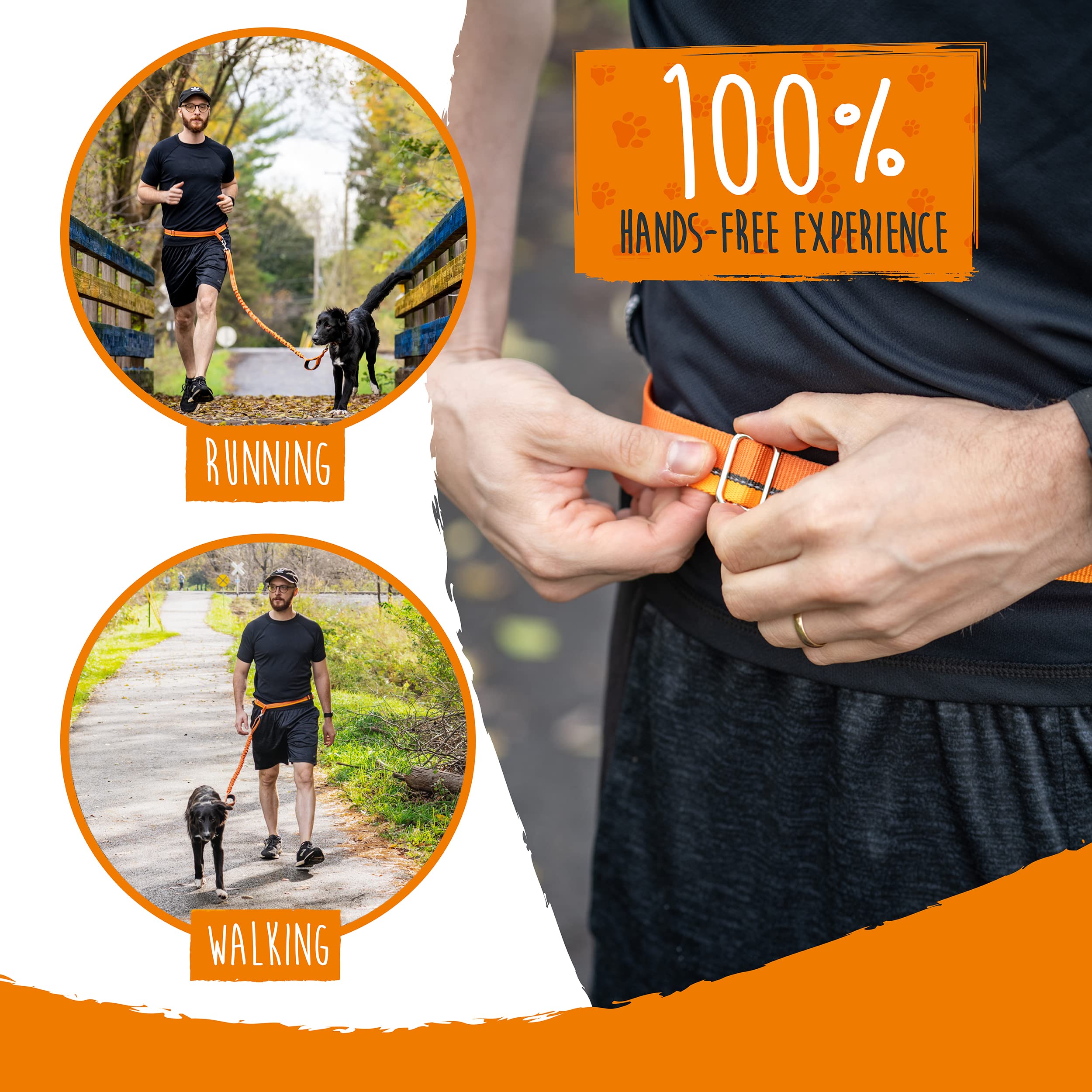 Mighty Paw supports dogs up to 150 lbs during jogs.