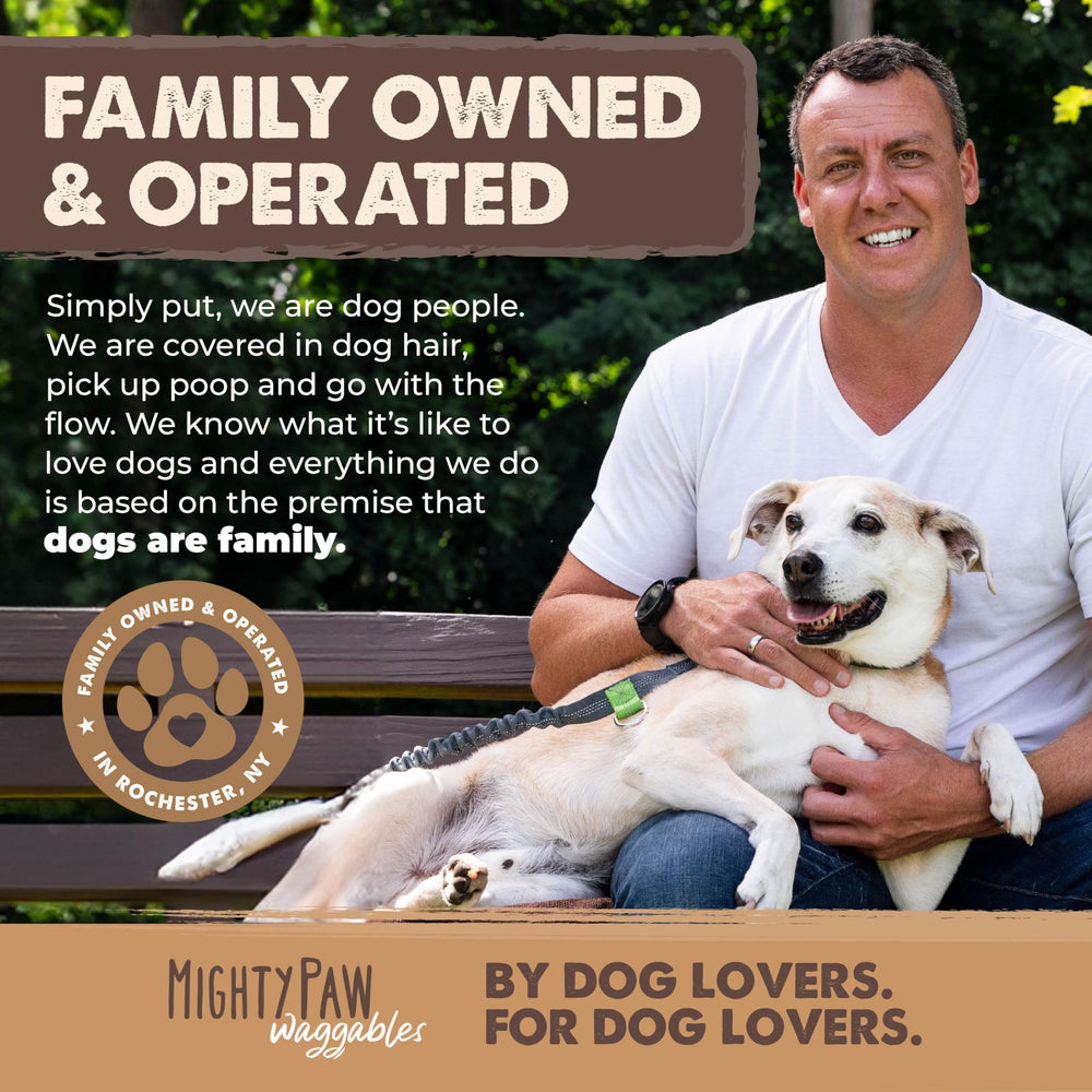 Mighty Paw 1-pack elk antler for dogs encourages healthy chewing rituals.