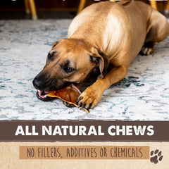 Mighty Paw Pig Ears 12-pack half ears ideal for puppies and large dogs.