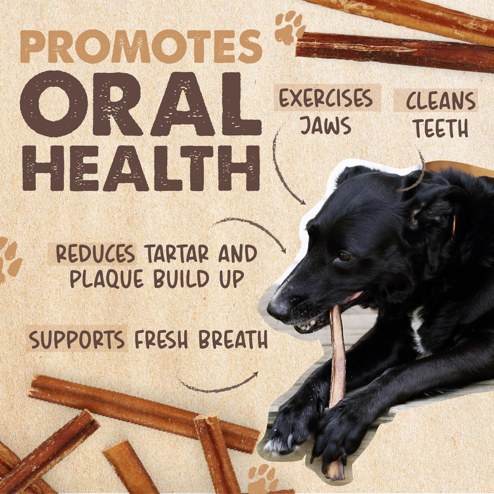 Mighty Paw bully stick offers a protein-rich treat with no artificial additives