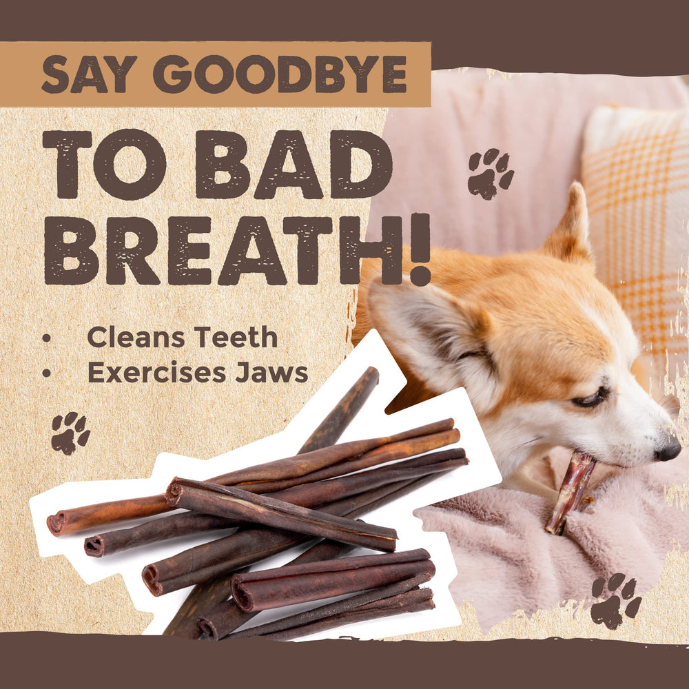 Mighty Paw puppy-enjoying-chew: ideal for puppies and power chewers.