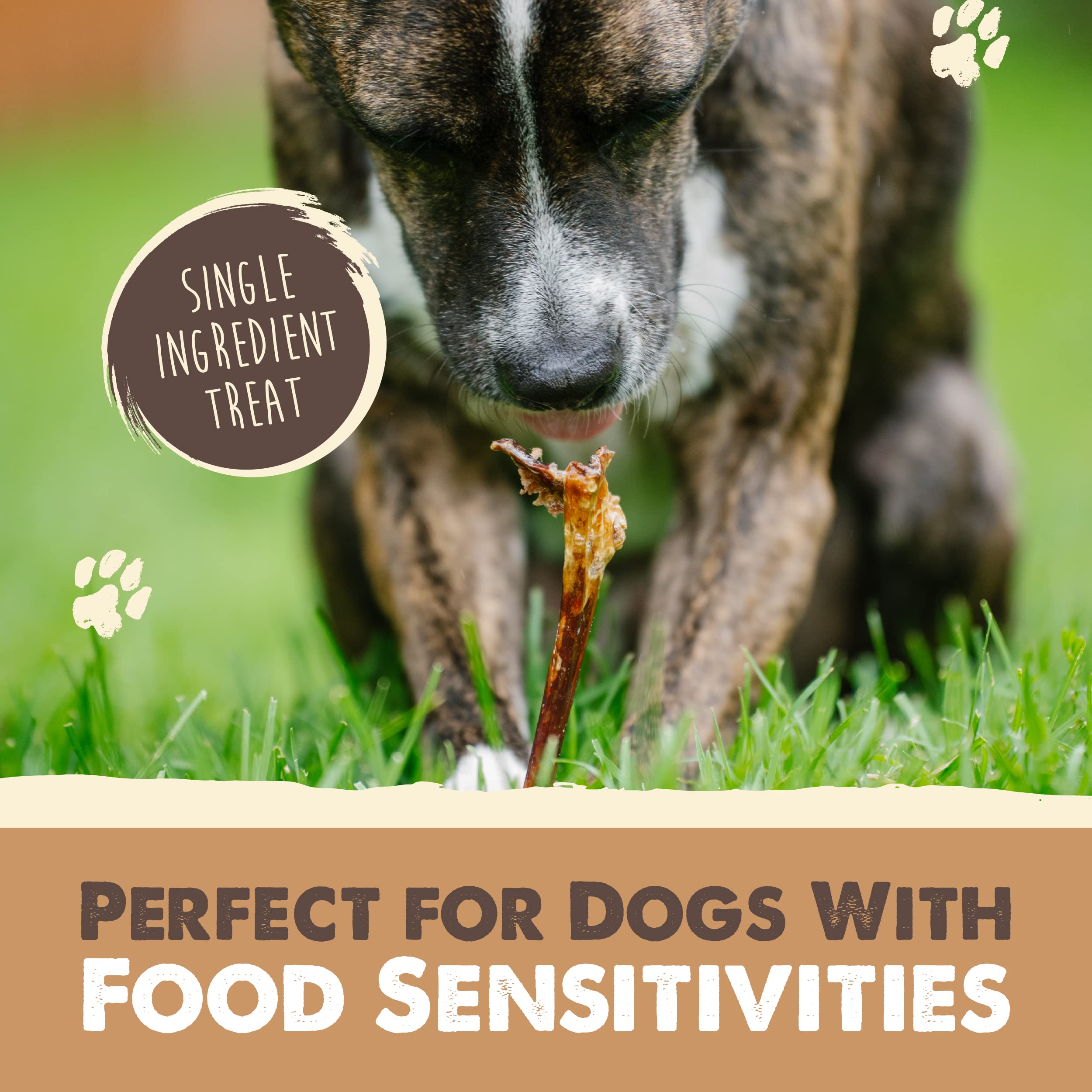 Mighty Paw rawhide alternative: single-ingredient chew for dogs with sensitivities.