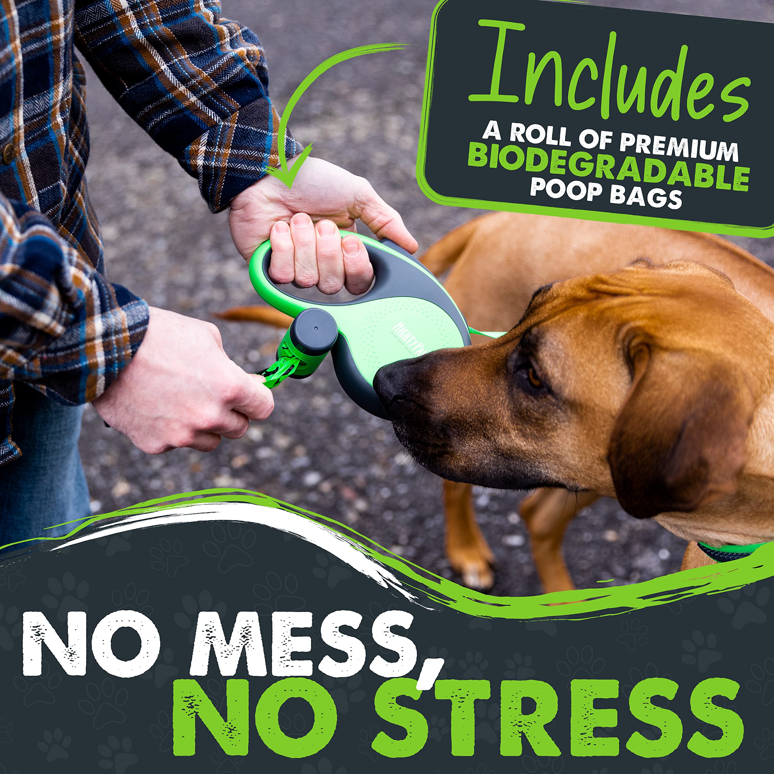 Mighty Paw reflective nylon tape enhances visibility on walks.