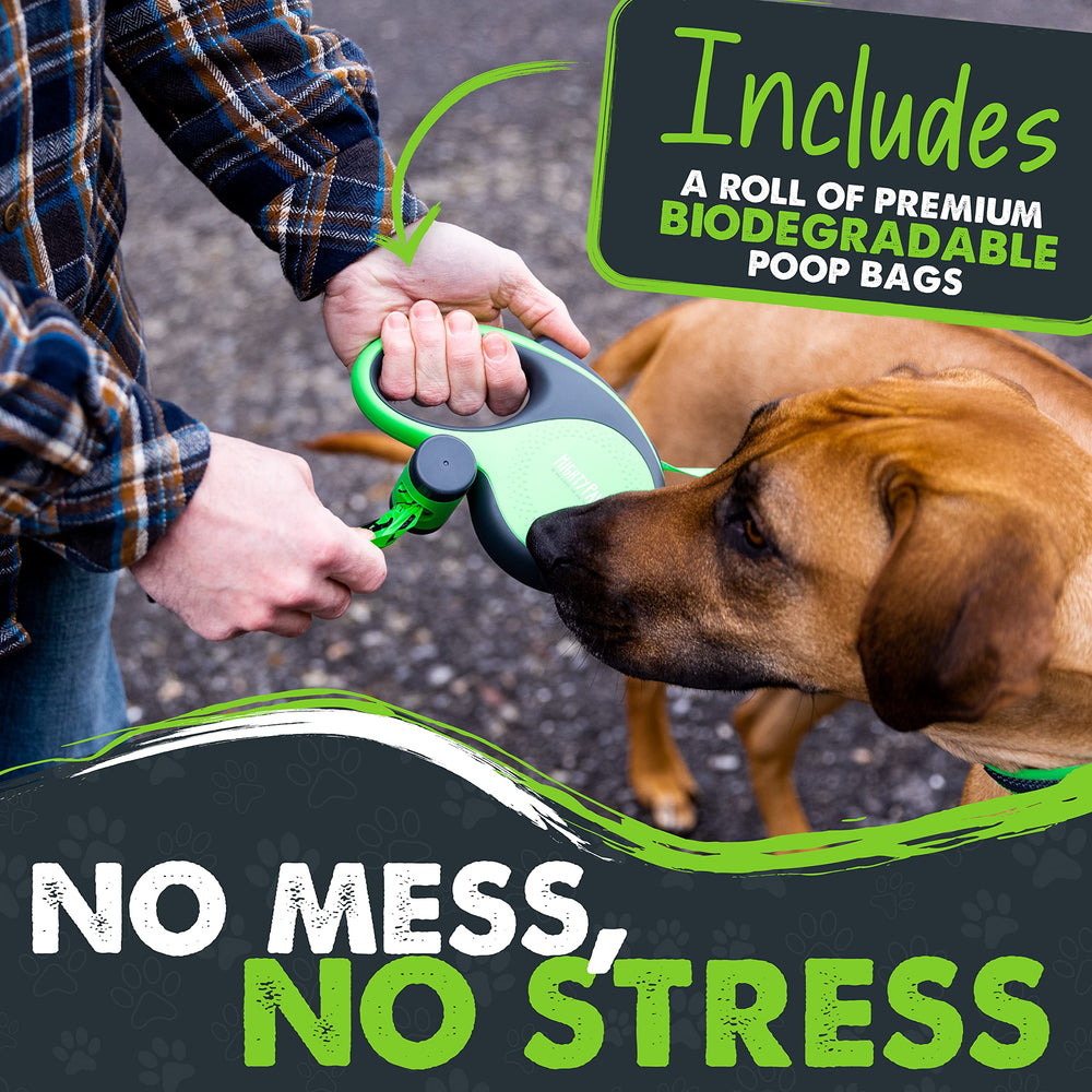 Mighty Paw reflective nylon tape enhances visibility on walks.