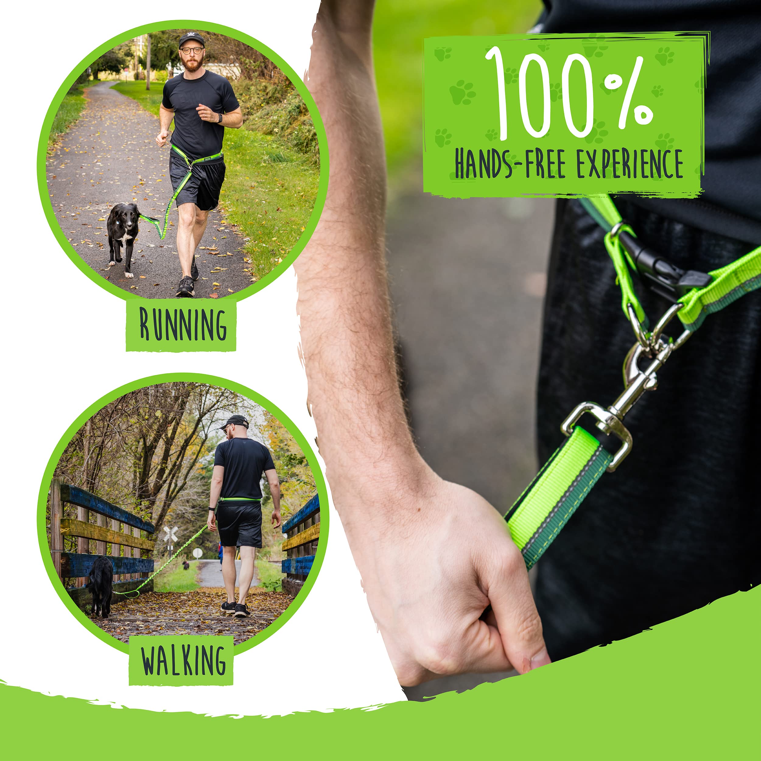 Mighty Paw leash with reflective stitching enhances safety at night