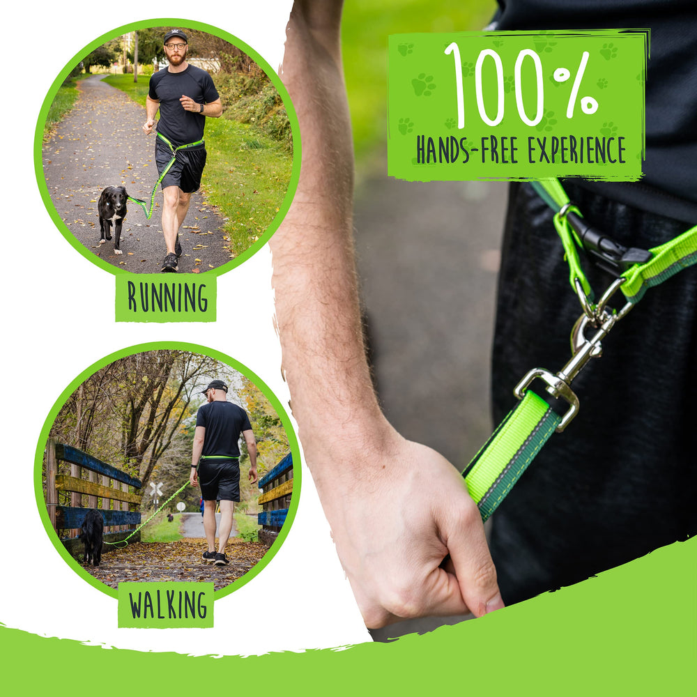 Mighty Paw leash with reflective stitching enhances safety at night