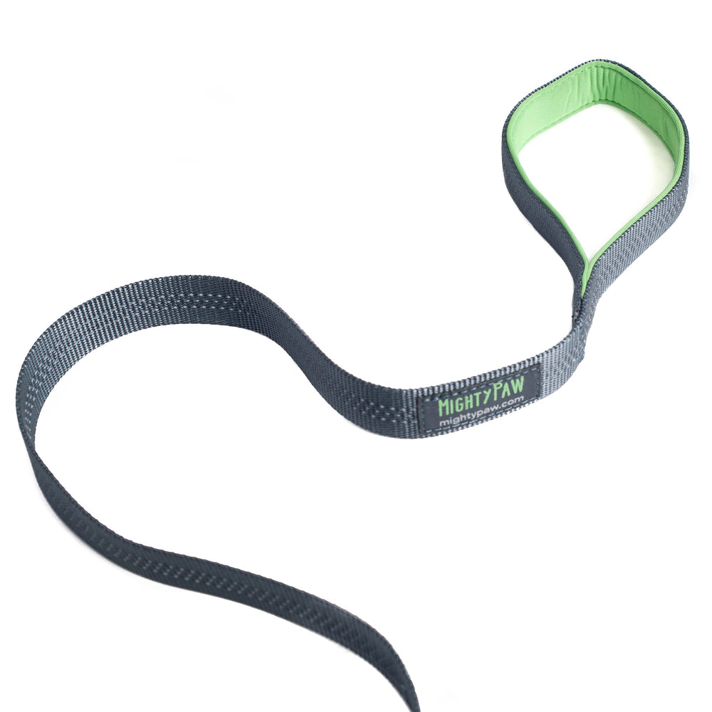 Mighty Paw reflective stitching enhances visibility in low light.