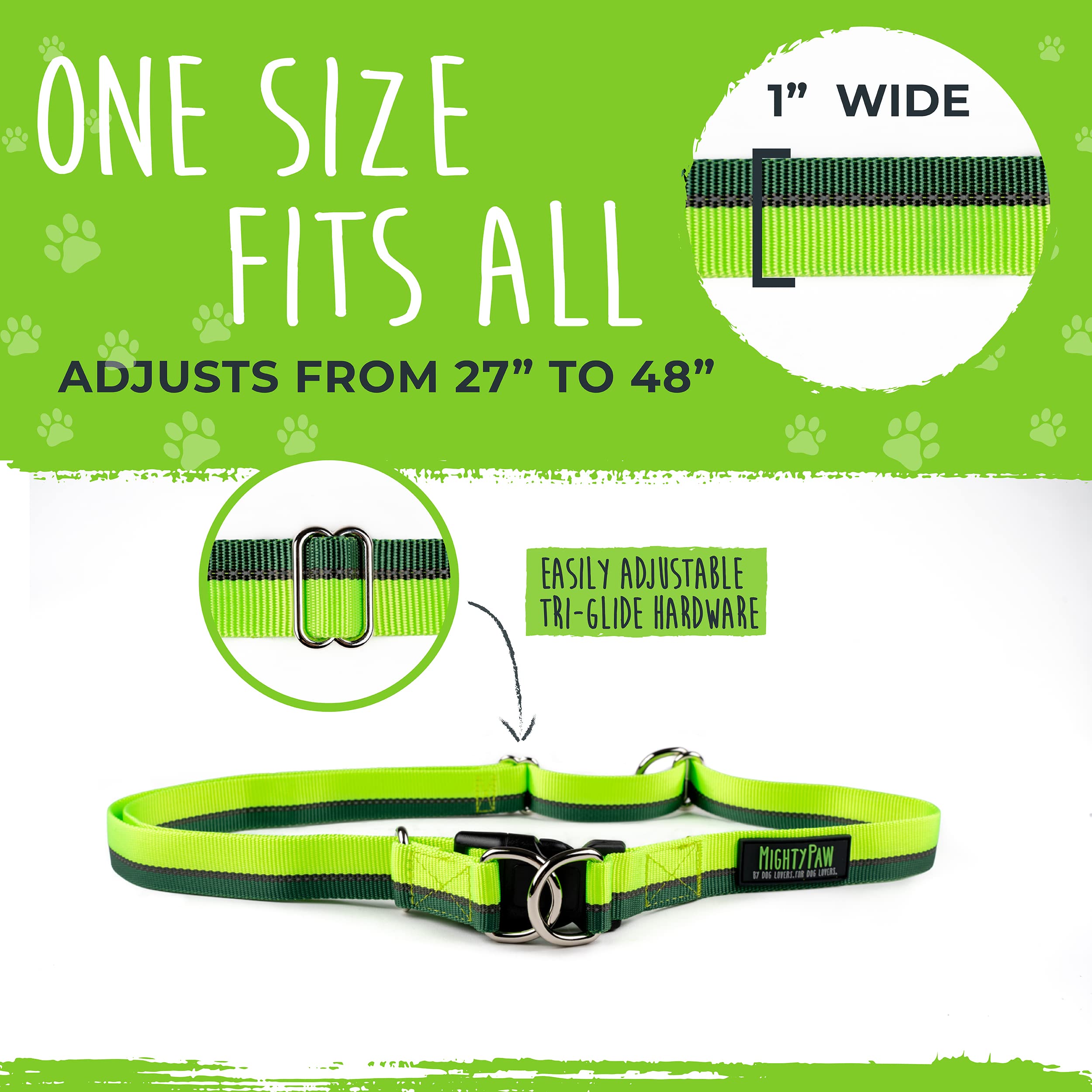 Mighty Paw belt with reflective threading increases visibility during dawn walks