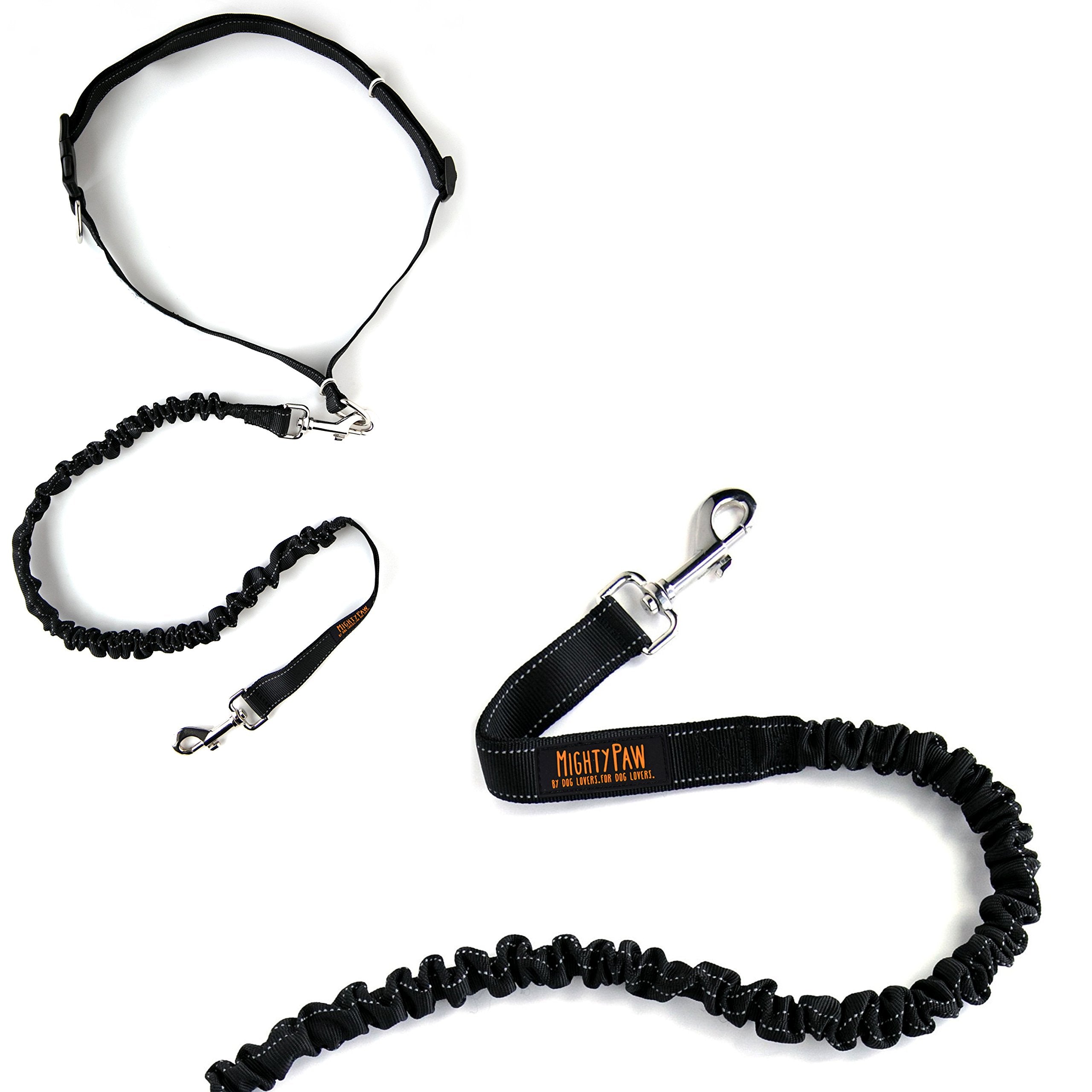 Mighty Paw reflective threading on belt increases visibility at dusk.
